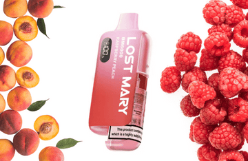 Raspberry Peach Lost Mary BM6000 Disposable Vape Kit - 20mg Nicotine